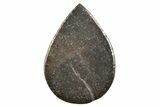 Chondrite Meteorite Cabochon ( g) #238201-1